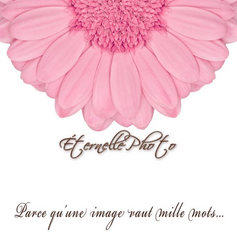 (og:image)